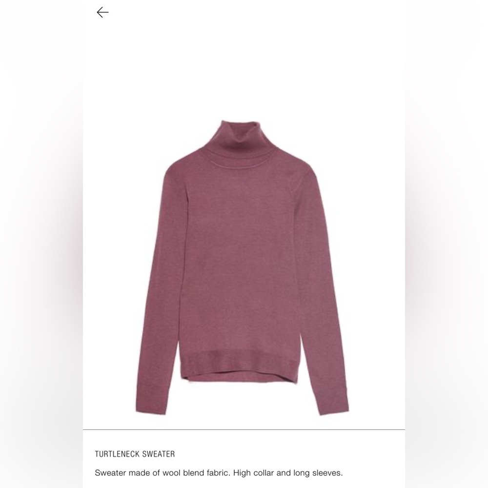 Turtleneck sweater Zara